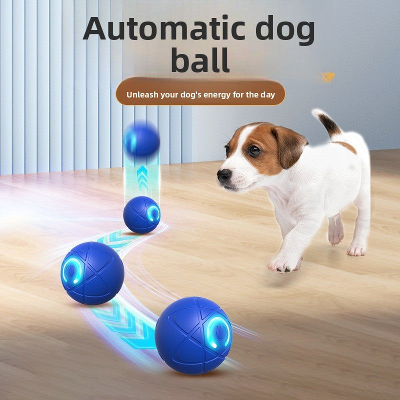 ZigPaw